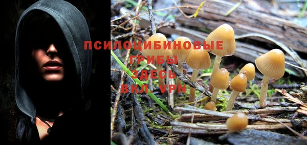 трава Кукмор