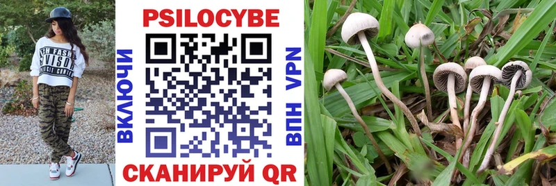 Галлюциногенные грибы Magic Shrooms  Тында 