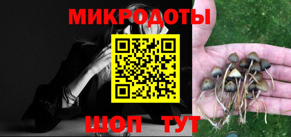 Псилоцибиновые грибы прущие грибы Тында