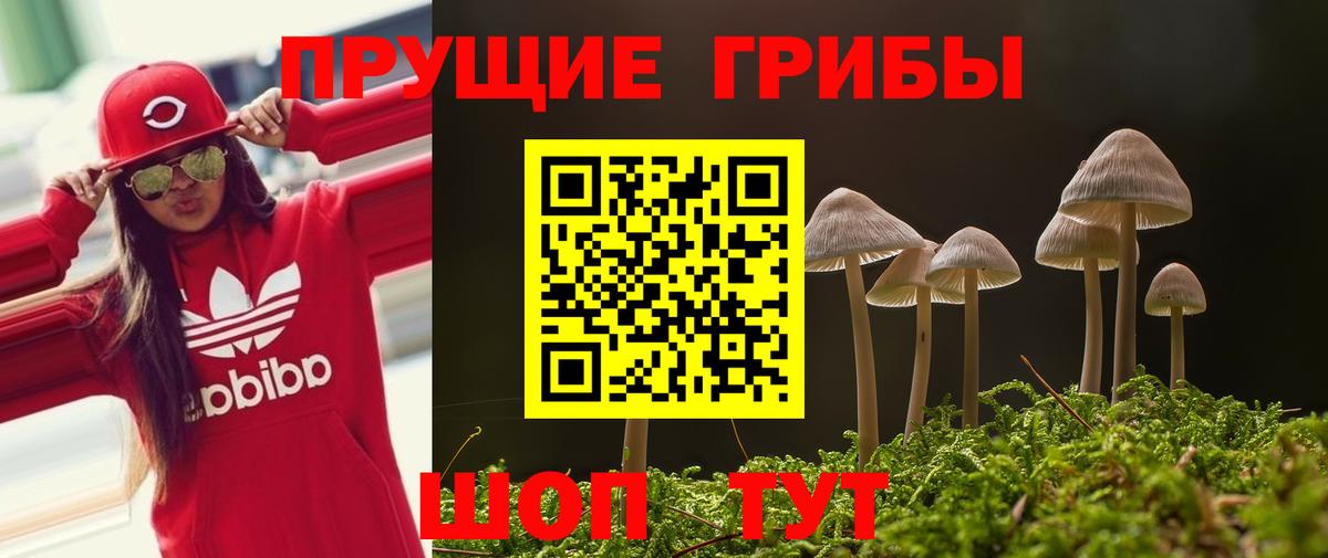 Псилоцибиновые грибы GOLDEN TEACHER Тында