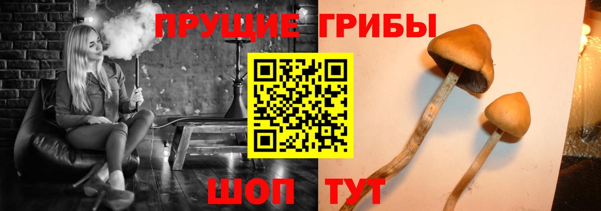Псилоцибиновые грибы MAGIC MUSHROOMS  Галлюциногенные грибы мухоморы  Вход с VPN  Тында 