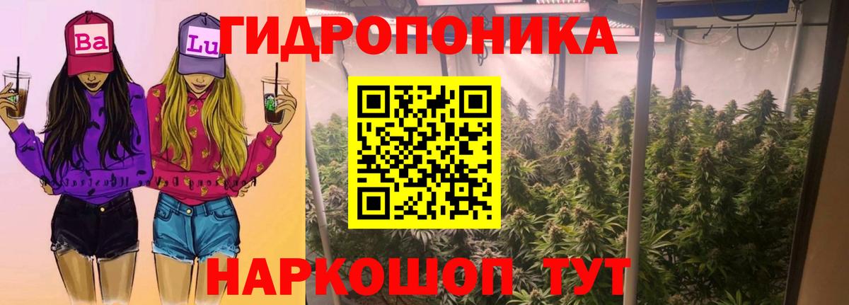 Конопля марихуана Тында